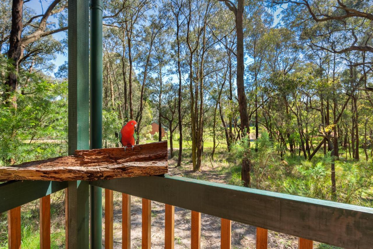 Cockatoo Cottages Buitenkant foto